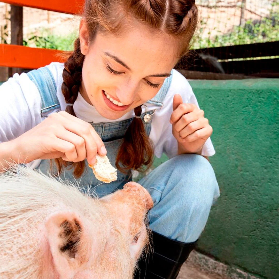 veterinaria-insposabana-2